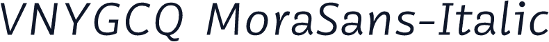 VNYGCQ+MoraSans-Italic