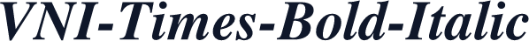 VNI-Times-Bold-Italic