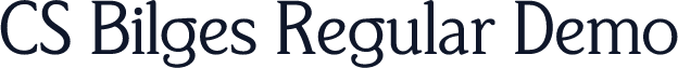 CS Bilges Regular Demo