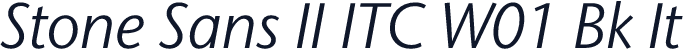 Stone Sans II ITC W01 Bk It