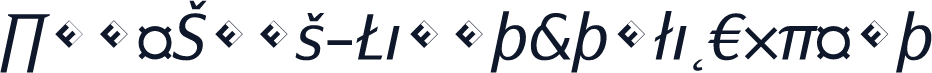 PageSans-LightItalicExpert