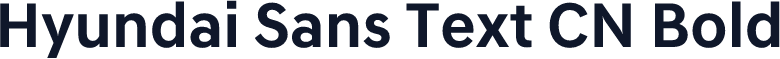 Hyundai Sans Text CN Bold