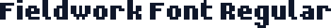 Fieldwork Font Regular