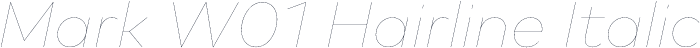 Mark W01 Hairline Italic