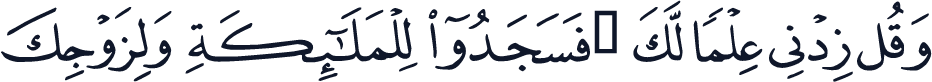 QCF_P320