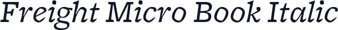 Freight Micro Book Italic