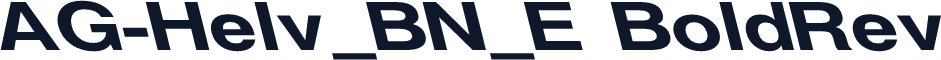 AG-Helv_BN_E BoldRev