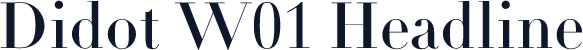 Didot W01 Headline