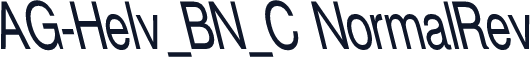 AG-Helv_BN_C NormalRev