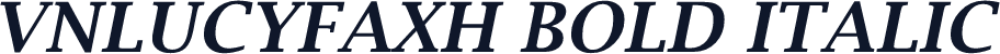 VNLucyFaxH Bold Italic