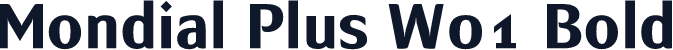 Mondial Plus W01 Bold
