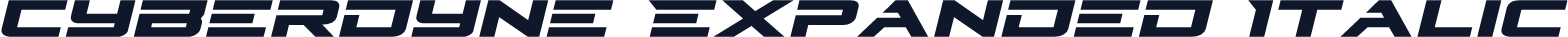 Cyberdyne Expanded Italic