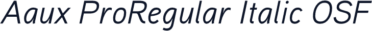 Aaux ProRegular Italic OSF