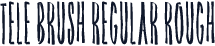 Tele Brush Regular Rough