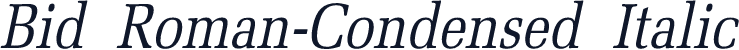 Bid Roman-Condensed Italic