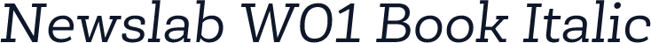 Newslab W01 Book Italic