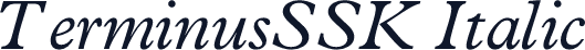 TerminusSSK Italic
