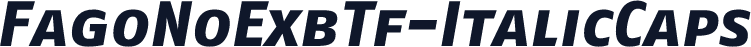 FagoNoExbTf-ItalicCaps