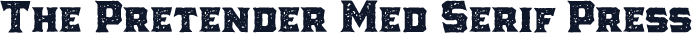 The Pretender Med Serif Press