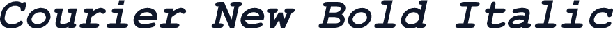Courier New Bold Italic