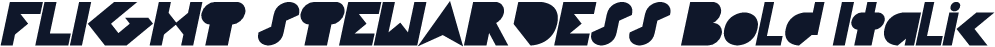 FLIGHT STEWARDESS Bold Italic