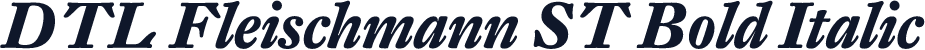 DTL Fleischmann ST Bold Italic