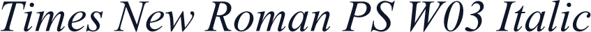 Times New Roman PS W03 Italic