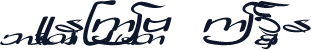 BLNEW_STRAW TYPE