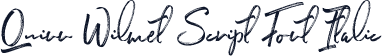 Quinn Wilmet Script Font Italic