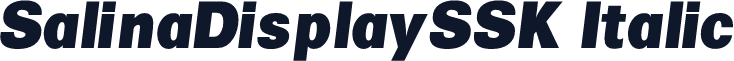 SalinaDisplaySSK Italic