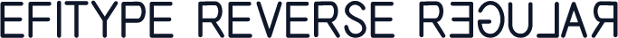 EFITYPE REVERSE Regular