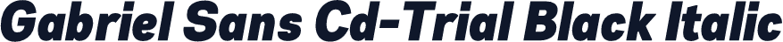 Gabriel Sans Cd-Trial Black Italic