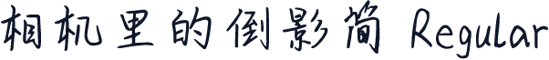 相机里的倒影简 Regular