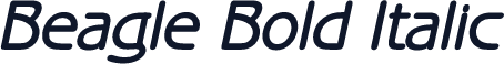 Beagle Bold Italic