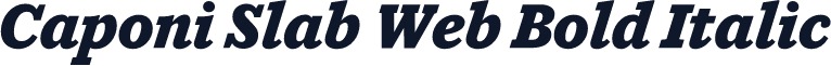 Caponi Slab Web Bold Italic