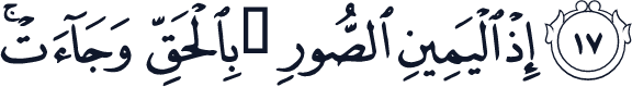 QCF_P519