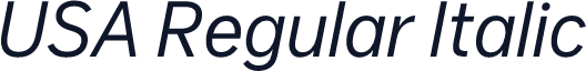 USA Regular Italic
