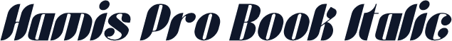 Hamis Pro Book Italic