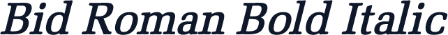 Bid Roman Bold Italic
