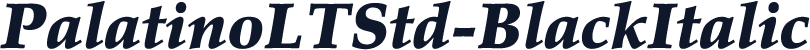 PalatinoLTStd-BlackItalic