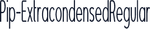Pip-ExtracondensedRegular