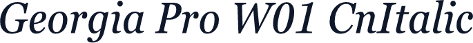Georgia Pro W01 CnItalic