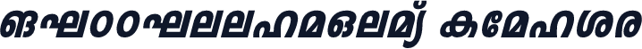 ML-TTLeelaHeavy Italic