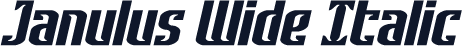 Janulus Wide Italic