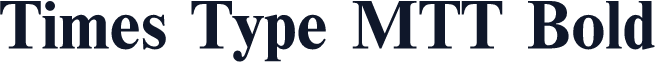Times Type MTT Bold