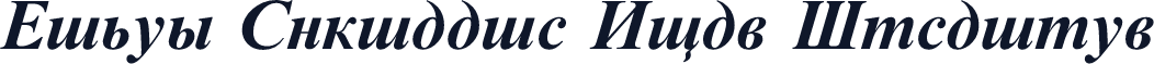 Times Cyrillic Bold Inclined