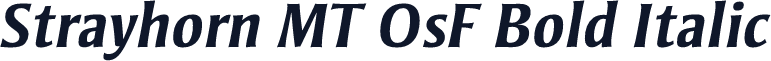 Strayhorn MT OsF Bold Italic