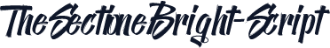 TheSectioneBright-Script