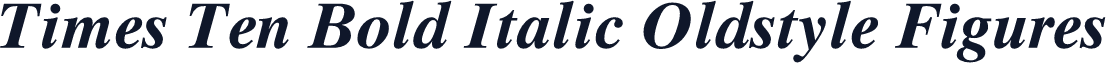 Times Ten Bold Italic Oldstyle Figures
