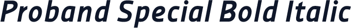 ☞Proband Special Bold Italic